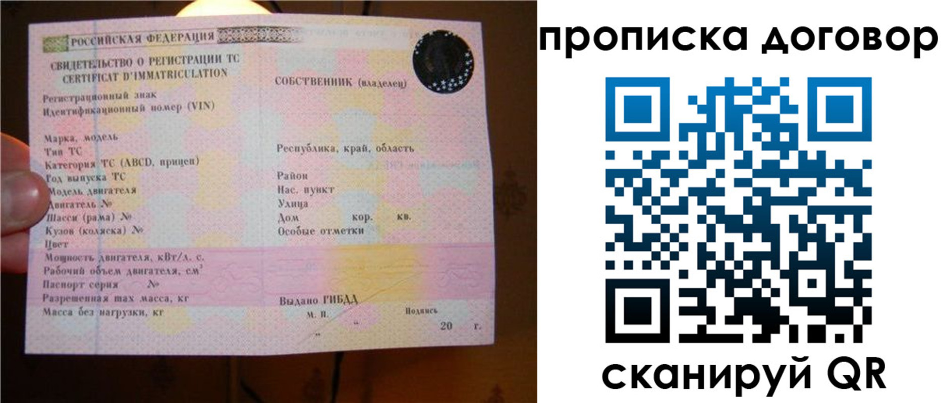 временная регистрация поиск в Тольятти